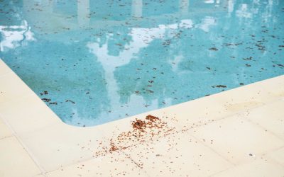 Dicas para Manter a Água da sua piscina cristalina