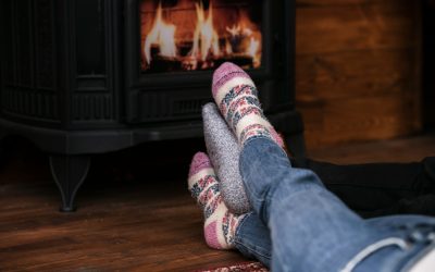 Tipos de salamandras: como escolher a ideal para si