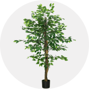 Vasos e tratamento de plantas