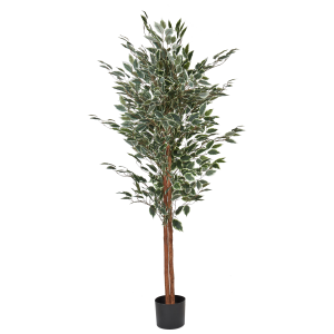 Planta artificial ficus 167 cm